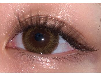 ブロッサ(Blossa)/ダークブラウン　120本