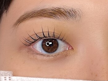 マツエク/まつ毛パーマ/眉毛 Elan【エラン】/デザイン豊富なまつ毛パーマ