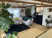 サーラ(SA-RA)の雰囲気（観葉植物がたくさんの落ち着いた店内♪）