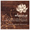 アルピナ アイラッシュ 亀里店(alpina)ロゴ