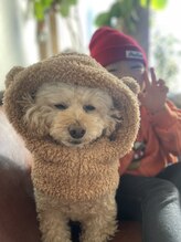 メグリ(Megurii)/愛犬のココ