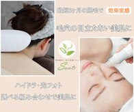 サンテ(Sante)