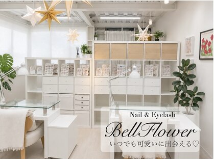 ベルフラワー(BellFlower)の写真