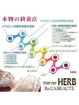 アンクール(esthetic salon uncoeur)/10回のエステより1回のハーブ