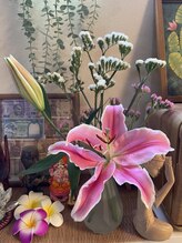 シャンティシャンティ(Shanti Shanti)/季節ごとに咲いた花を置いてます