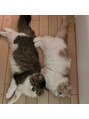 エスペレ 六本木(esperer) 猫様と仲良く暮らしてます☆