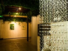 ジーヴァプラーナ(Jiva Purana)/モリンガ蒸し