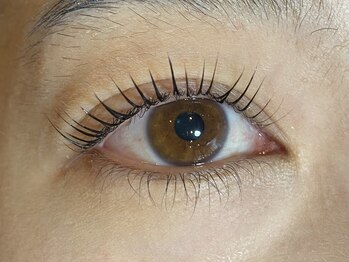 エイト アイラッシュ 池袋店(eight eyelash)/ラッシュリフト