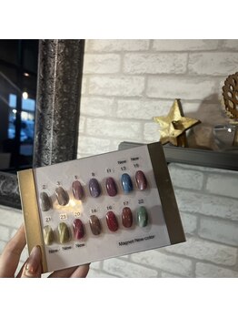 ネイルサロン アニーアンドジーノ シド(NAIL SALON Annie&Gino shido)/マグネットネイル新色入荷