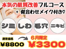 エスプラス エヌプラス(S+/N+)