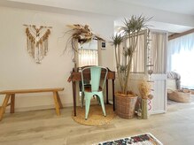 毛質やカラーが豊富◎