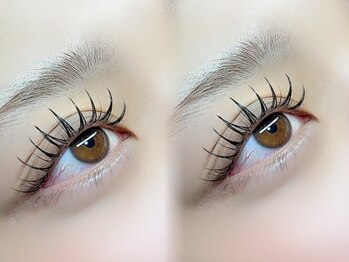 ノウェム(novem)/パリジェンヌ×Wフラット60束