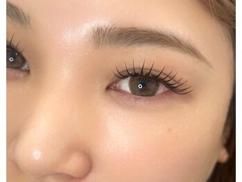 ディッシュビューティー(dish beauty)/ブリスラップ