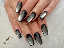 ノーラスリエン(Nolaslien)/マグネットネイル　パラジェル