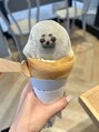 クレー(Klee) あざらし好きです