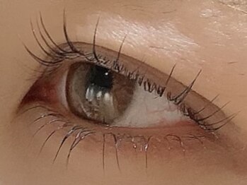 カラン 焼津店(CALIN)/上下ラスティングカール