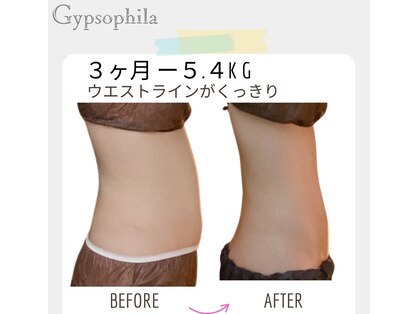 ジプソフィラ(Gypsophila)の写真