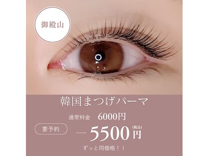 リフォイル(Refoile)の写真