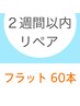 【２週間以内】フラットラッシュ６０本