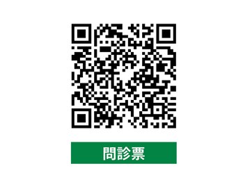 アオ(ao)/カウンセリング票