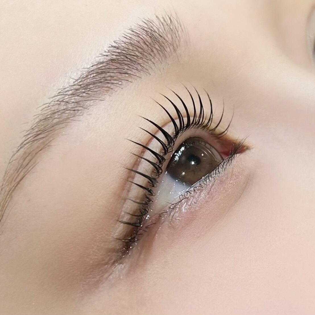 【高濃度トリートメント付き】まつげパーマ◆ラッシュリフト￥4000