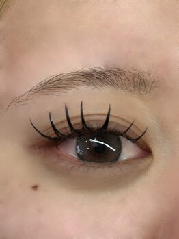 エルドット アラハ店(L.)/フラット120本 (束仕上げ)