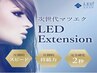 人気No5【LED高級セーブルフラット80本+高濃度サロントリートメント8900円