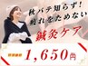 【10/11～11/10限定★】肩こり・眠れない方に◎鍼施術で秋バテ対策♪