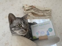 【足つぼ/よもぎ蒸し/オイルリンパ/腸もみ/ヘッドスパ】女性専用サロンPuana/ノエル