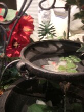 サロンドカイ(Salon de Kai)/サロン外庭