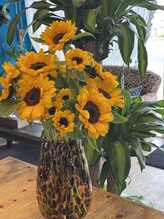 ナナ 名護店(NANA)&nbsp;高江洲 真梨