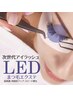 【平日限定coupon】　LEDグルー×フラットラッシュ 100本 
