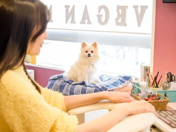 #けあなちゅらる/レオ店長のいるところ♪