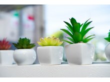 こおりやま整体院/明るく清潔第一がモットーです