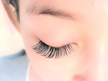 リンド(LINDO)/セーブル180本