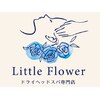 リトルフラワー 川口店(Little Flower)のお店ロゴ