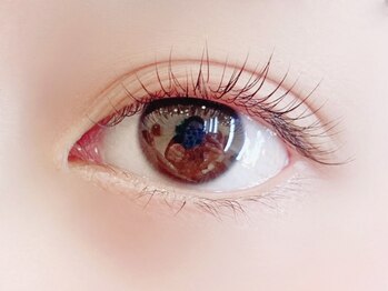 デイジーラッシュ 神戸三宮店(Daisy Lash)/まつげパーマ/パリジェンヌ/神戸