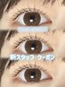 【新スタッフ担当】次世代まつ毛パーマ　¥2200