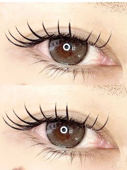 リアン(Lian)/フラットラッシュ140本