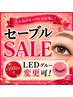 【クリアランスSALE】高級セーブル～100本まで【ナチュラル派の方へ】