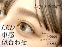 ルプスデザイン(Lupus design)
