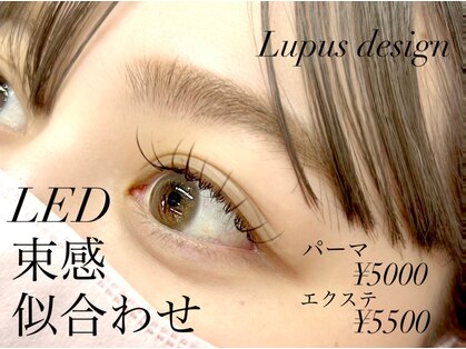 ルプスデザイン(Lupus design)の写真