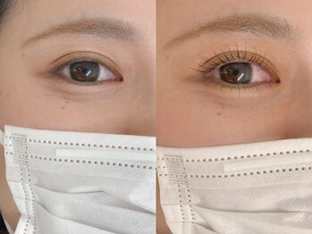 リリーベイブ(LILY BABE)/まつげパーマ/マツエク/パリエク