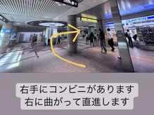 ハリナチュレ 西心斎橋店(HARINATURE)/道順2