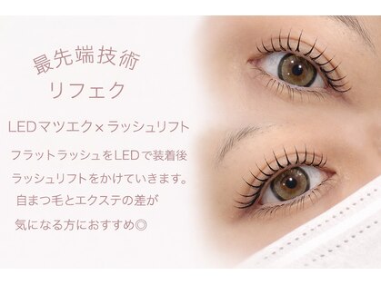 アイヴィー(ivy)の写真