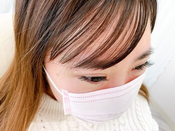 ルピナス(Lupinus)/フラットラッシュ140本