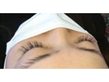 ラクトゥール(Lacteur)/フラットセーブル●140本