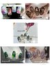 【今月限定】デザインflorjyu nail 　7,900円→6,900円