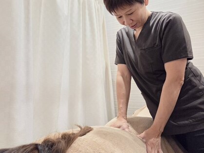 もんぺい鍼灸接骨院の写真