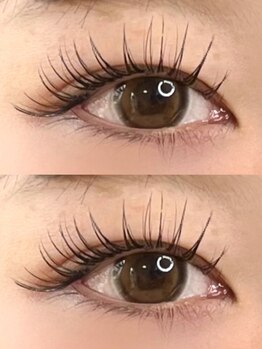 カメリア(CAMELLIA)/パリエク120本/マツエク/パーマ